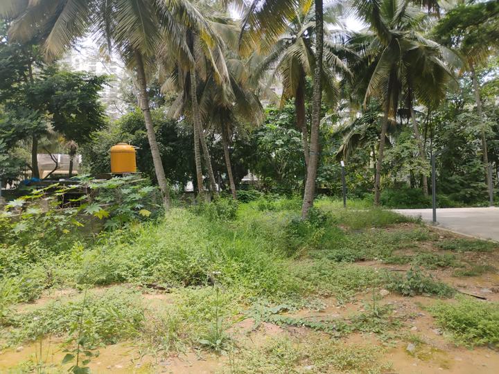 Classic Orchids Layout, Kalena Agrahara Main Image 1