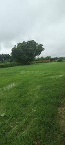 Image of 20000 Sq.ft 12 BHK Farm House for rent in Anora, Lucknow for Rs. 25000