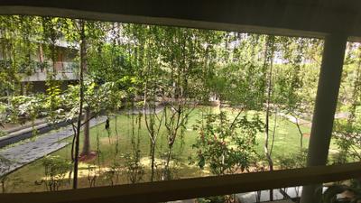Image of 2900 Sq.ft 3 BHK Villa for rent in HSR Layout, Bengaluru for Rs. 110000