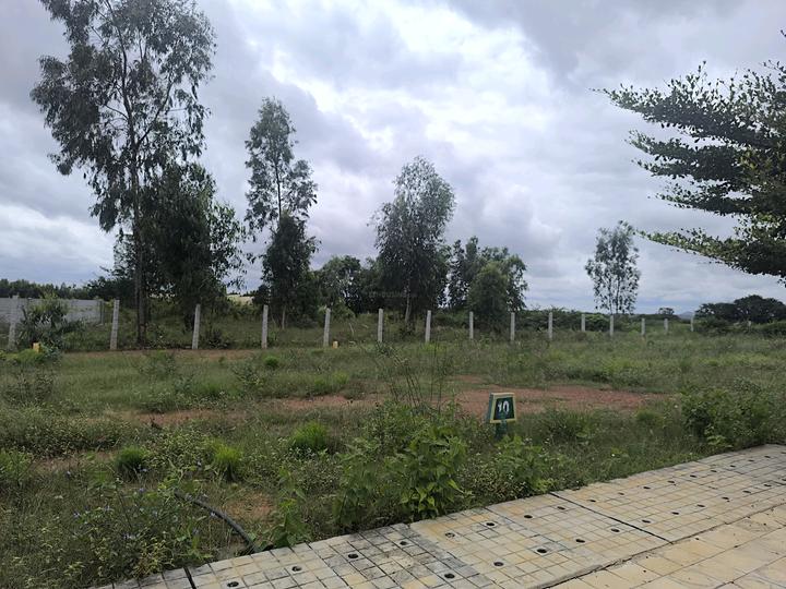 Telecom aero city Main Image 1