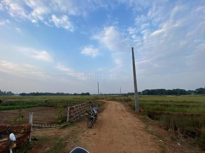 Image of 15000 Sq.ft Residential Plot / Land for sale in Hanspal, Bhubaneswar for Rs. 15000000