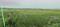 Railway Colony, Charbagh Plot View 2