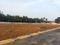 Thondamuthur Plot View 2