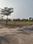 EDUCATION CITY Plot View 2
