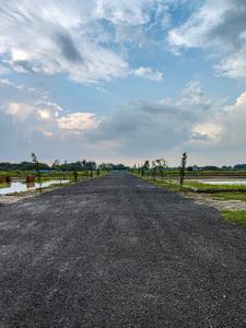 Gaura Plot View 1