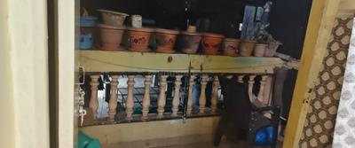 Balcony Image of 650 Sq.ft 1 BHK Apartment / Flat for rent in Rane Nagar Nashik for Rs. 12600
