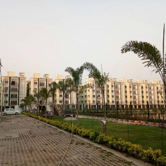 Ruby society Main Image 1