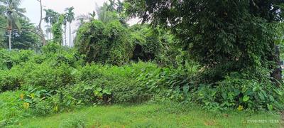 Image of 18000 Sq.ft Residential Plot / Land for sale in Rajpur, Kolkata for Rs. 37500000