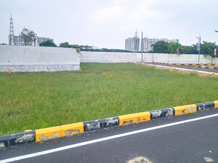 Staar Royal C Phase 1 Main Image 1