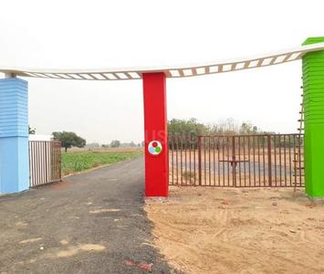 Spring Fields Plot View 2