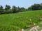 Natures Paradise Main Image 1