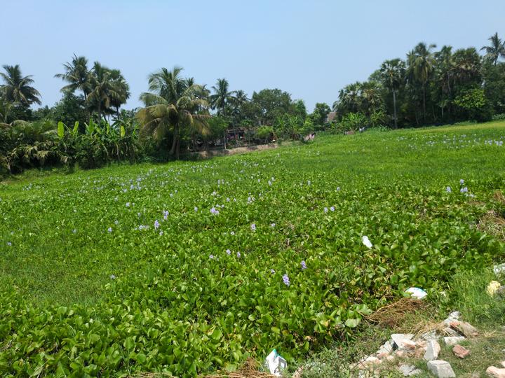 Natures Paradise Main Image 1