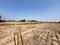 Tappal Plot View 2