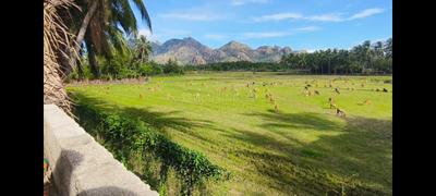 Image of 150 Sq.ft 1 BHK Farm House for sale in Thovalai, Kanyakumari for Rs. 1200000