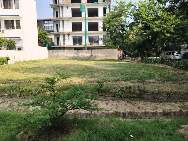 DLF Moulsari Enclave Main Image 1