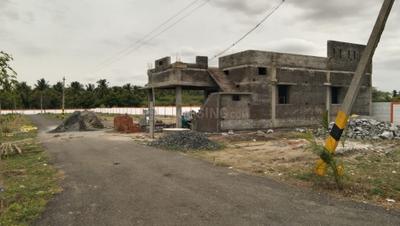 Annur Plot View 2