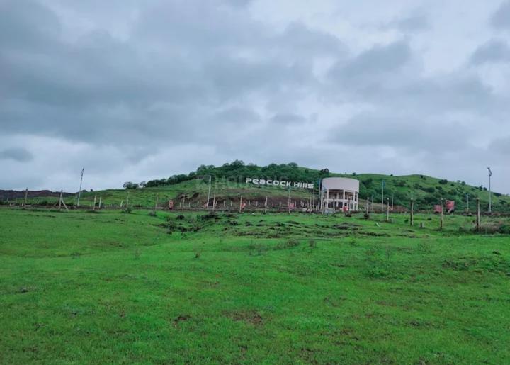 Peacock Hills Main Image 1