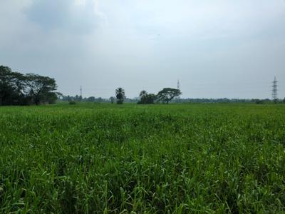 Image of 1440 Sq.ft Residential Plot / Land for sale in Wander Valley, Joka, Kolkata for Rs. 514222