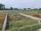 Dasna Plot View 1