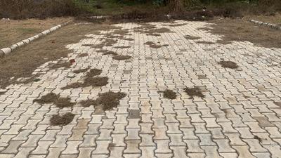 Image of 1350 Sq.ft Residential Plot / Land for sale in Jubilee Parklane Extension, Sector 120, Mohali for Rs. 14054000