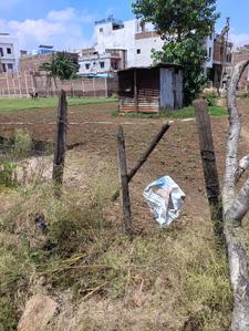 Danapur Nizamat Plot View 2
