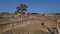 Ormanjhi Main Image 1