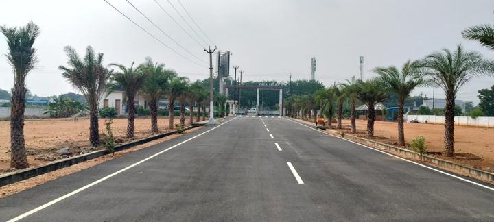 Paravai Main Image 1