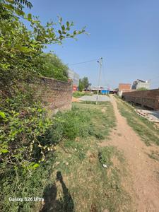 nill Plot View 2
