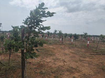 Park Town Plot View 2