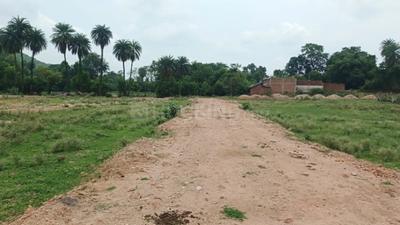 Image of 2000 Sq.ft Residential Plot / Land for sale in Toria Mohalla, Chhatarpur for Rs. 3600000