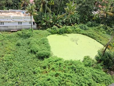 Image of 19491 Sq.ft Residential Plot / Land for sale in Irinjalakuda, Thrissur for Rs. 30000000