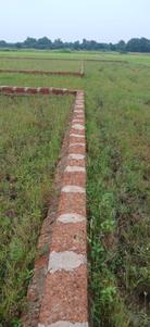 Image of 1200 Sq.ft Residential Plot / Land for sale in Nachhipur, Saindha, Cuttack for Rs. 1500000
