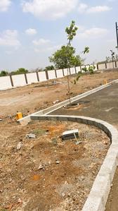 Orchid Springs Plot View 2