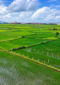 Image of 1089 Sq.ft Residential Plot / Land for sale in Valak, Raigad for Rs. 375000