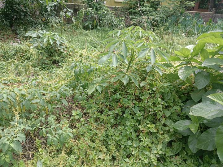 Madurdaha Main Image 1