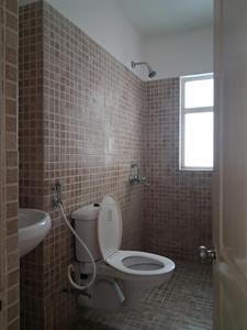 Common Bathroom Image of 1565 Sq.ft 3 BHK Apartment / Flat for sale in Paras Tierea, Sector 137 Noida for Rs. 13000000