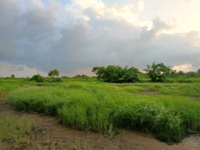 Image of 1000 Sq.ft Residential Plot / Land for sale in Swarajya Infrastructure Vindhane, Vindhane, Navi Mumbai for Rs. 700000