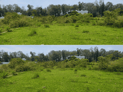 Image of 1946 Sq.ft Residential Plot / Land for sale in Investors Dhaulas Nature Farms, Dhaulas, Dehradun for Rs. 5860000