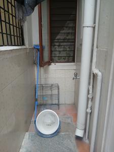 Balcony Image of 1500 Sq.ft 4 BHK Independent House for rent in Kasturi Nagar Bengaluru for Rs. 48000