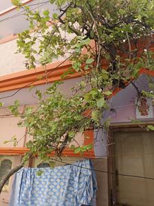 Balcony Image of 4000 Sq.ft 7 BHK Independent House for sale in Banaswadi Bengaluru for Rs. 16000000