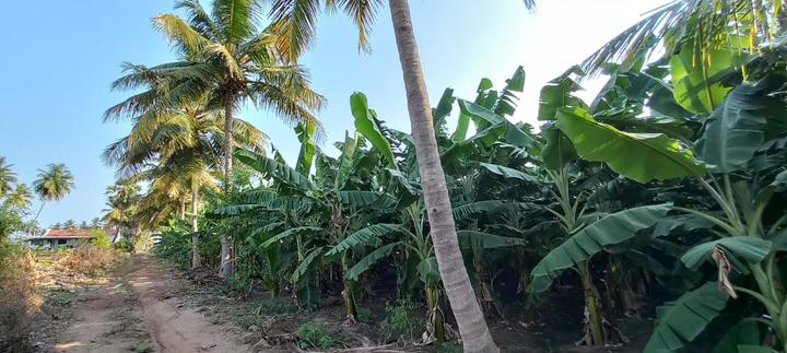 Karukkalvadi Main Image 1