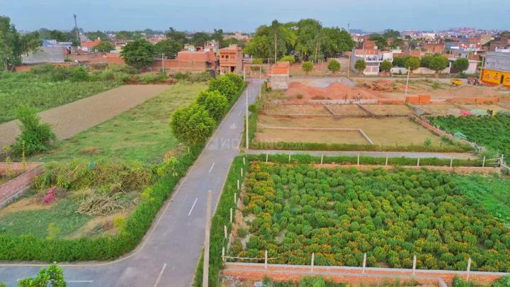 Shivari Main Image 1