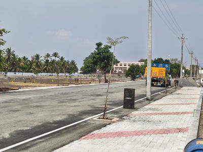 Tech Valley Phase I Plot View 2