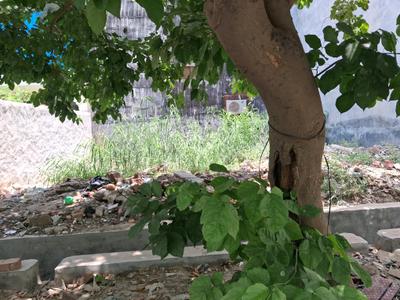 Image of 456 Sq.ft Residential Plot / Land for sale in Sector 45, Noida for Rs. 130000000