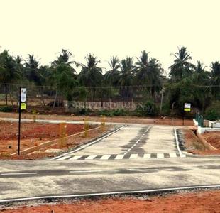 Block E Plot View 1
