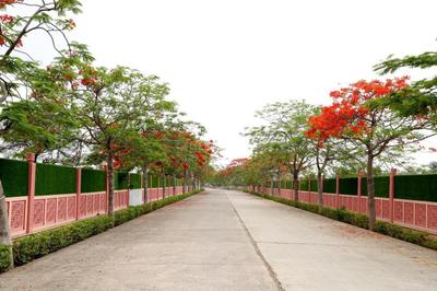Image of 1800 Sq.ft 3 BHK Independent House for sale in Tilhari, Jabalpur for Rs. 4790000