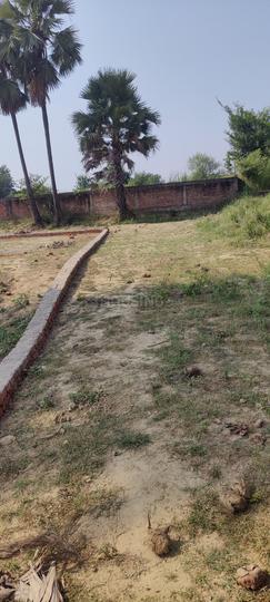 Roshan Valley Main Image 1