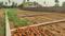 Bihta Plot View 2
