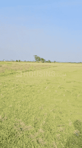 Residential Plot