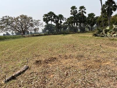 Image of 900 Sq.ft Residential Plot / Land for sale in Kanhauli, Patna for Rs. 2000000